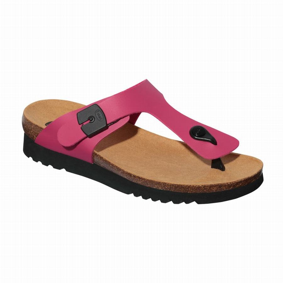 Scholl Strandpapucs Online rt kes t s Boa Vista Up N i Fukszia